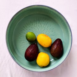 Fadsk�l i bl�/succulent (�: 27 cm)